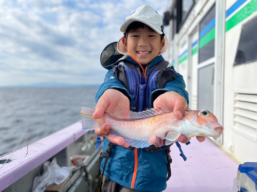 アマダイの釣果