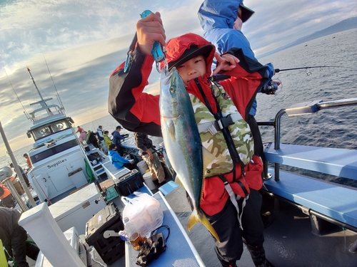 イナダの釣果