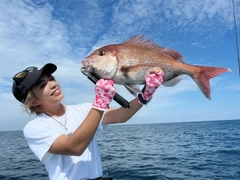 マダイの釣果