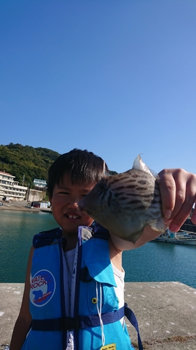 カワハギの釣果