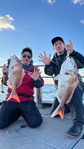 マダイの釣果