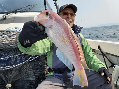 アマダイの釣果