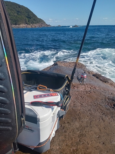 クチブトグレの釣果