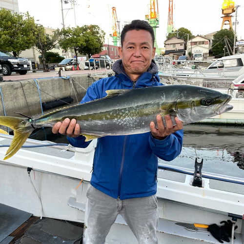 ヒラマサの釣果