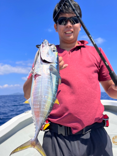 イソマグロの釣果