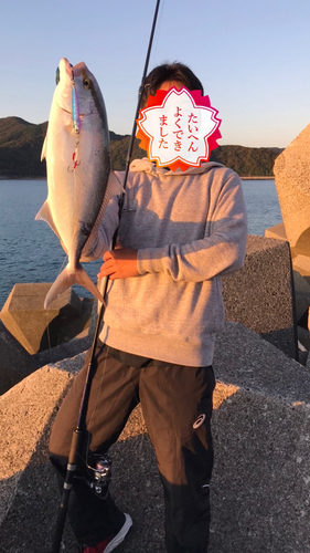 カンパチの釣果