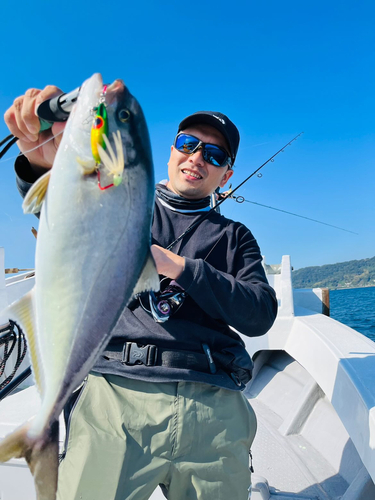 カンパチの釣果