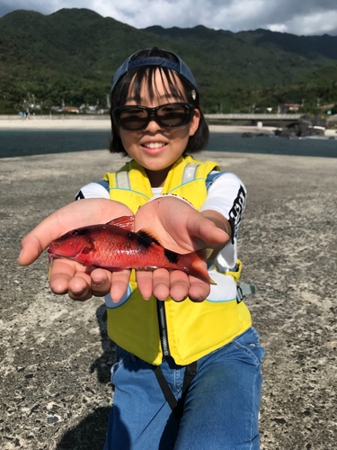 オジサンの釣果