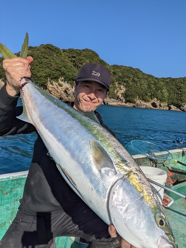 ブリの釣果