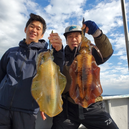 アオリイカの釣果