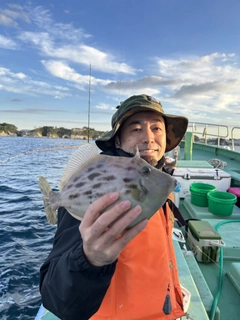 カワハギの釣果