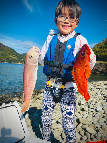 シロアマダイの釣果