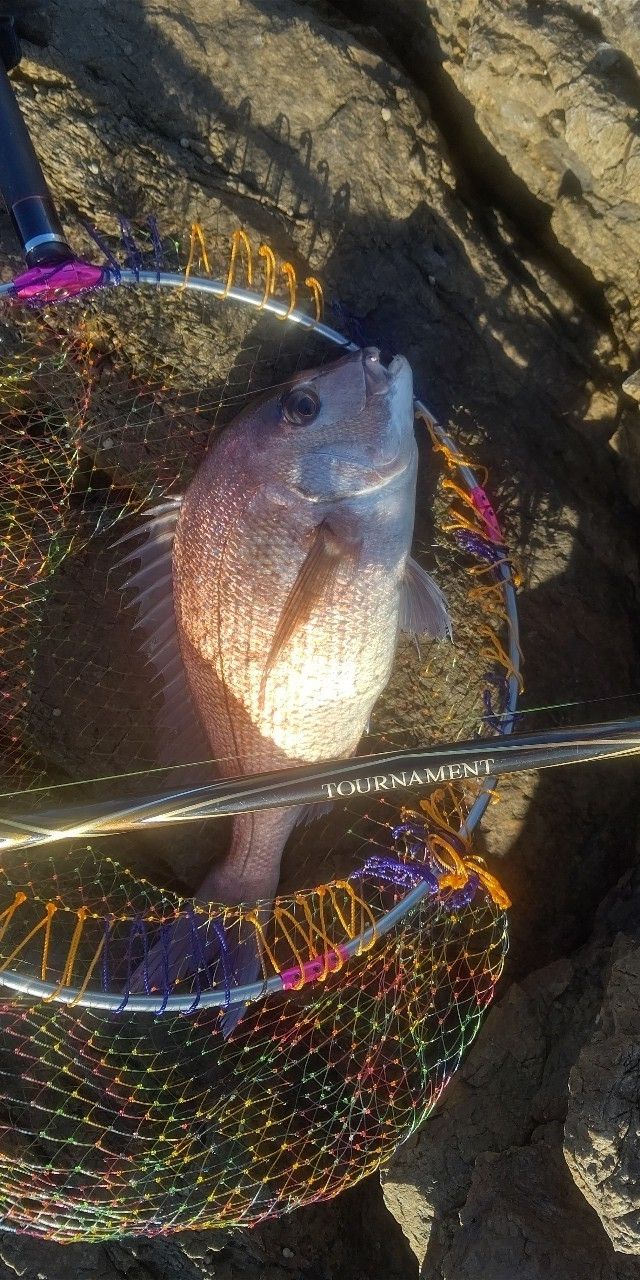 間瀬さんの釣果 3枚目の画像