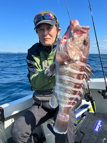 マハタの釣果