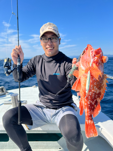 ウッカリカサゴの釣果