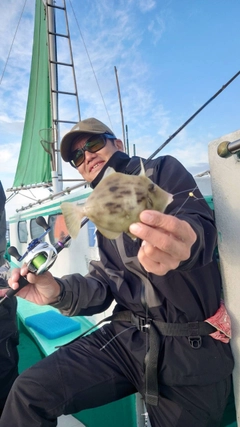 カワハギの釣果