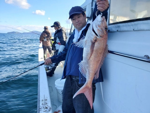 マダイの釣果