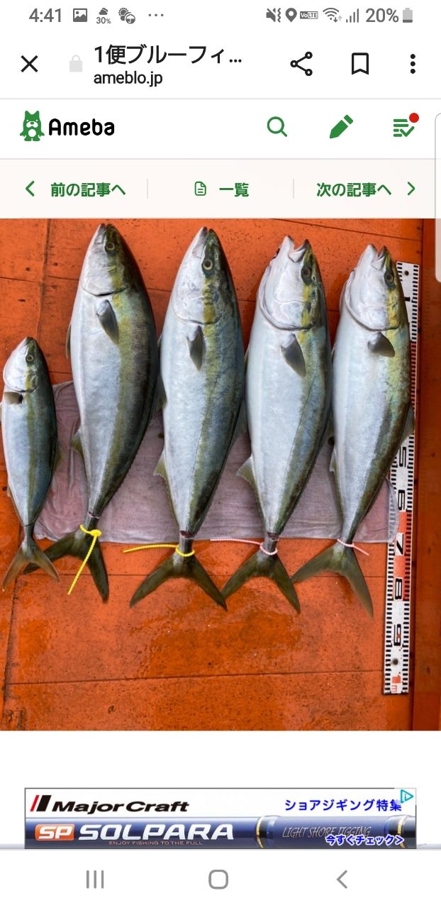 我が釣行に一片の悔い無し❗さんの釣果 1枚目の画像