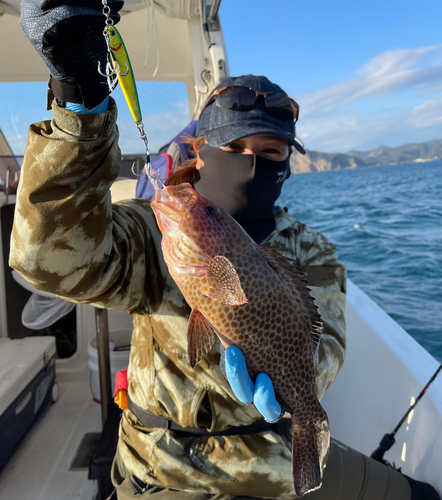 オオモンハタの釣果