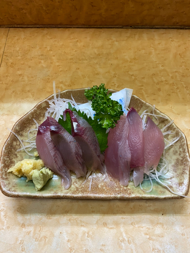 ハガツオの釣果