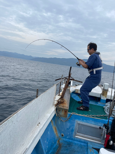 ブリの釣果