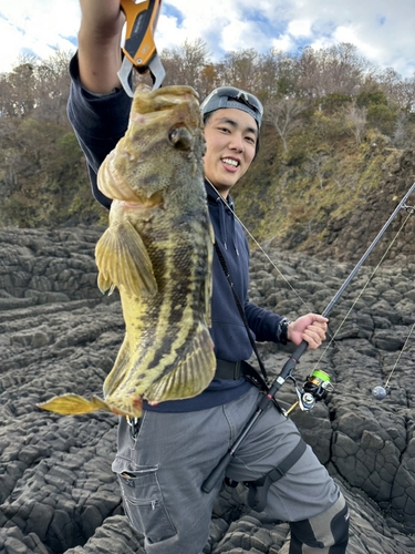 シマソイの釣果