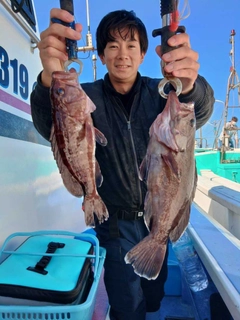 マハタの釣果