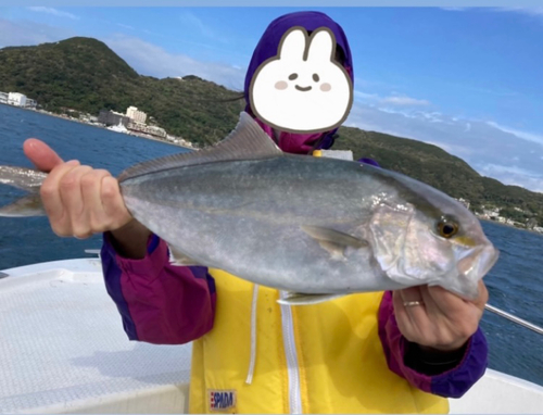 カンパチの釣果