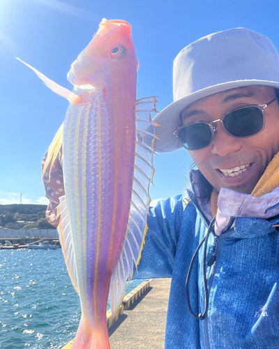 イトヨリダイの釣果