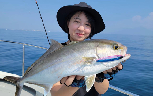 カンパチの釣果