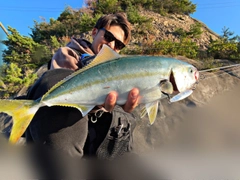 ハマチの釣果