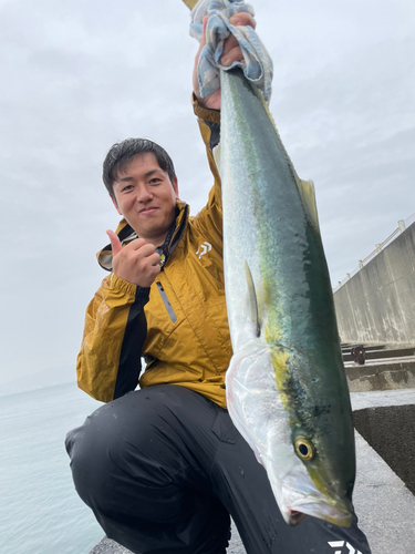 メジロの釣果