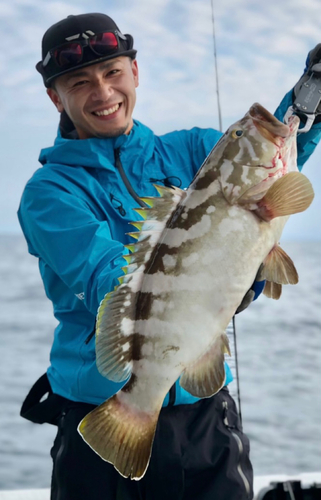 アラの釣果