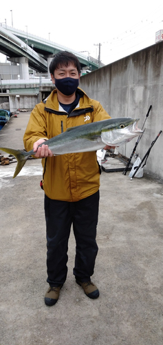 メジロの釣果