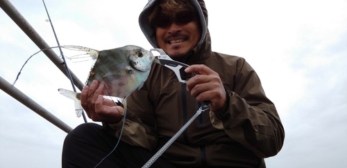 イトヒキアジの釣果