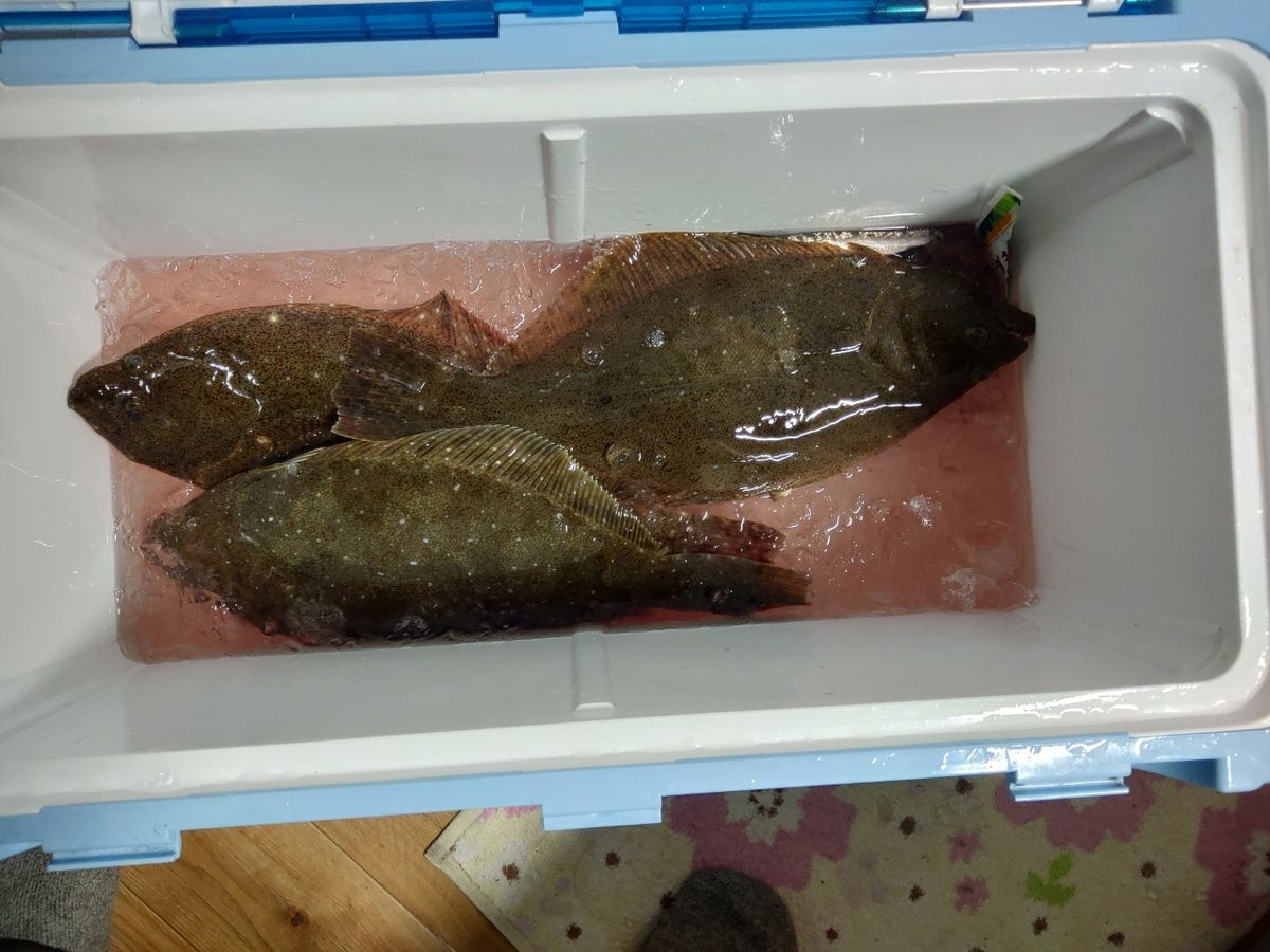 貴ちんさんの釣果 2枚目の画像