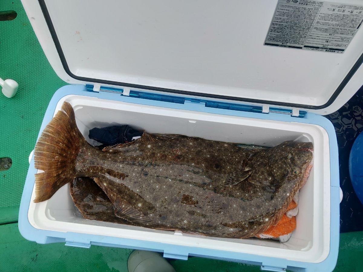 貴ちんさんの釣果 3枚目の画像