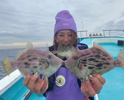 カワハギの釣果