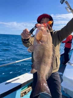 オオモンハタの釣果