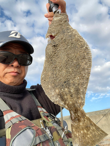 ヒラメの釣果