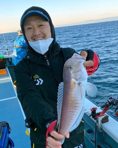 シロアマダイの釣果