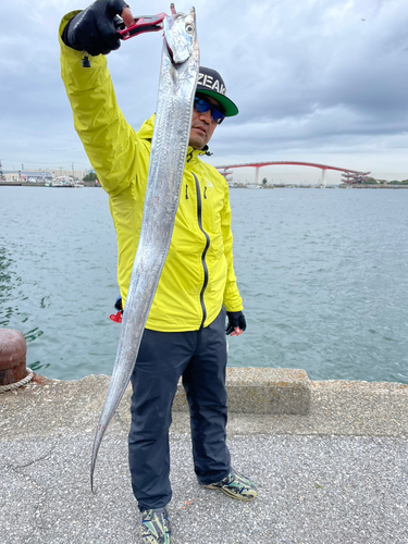 タチウオの釣果