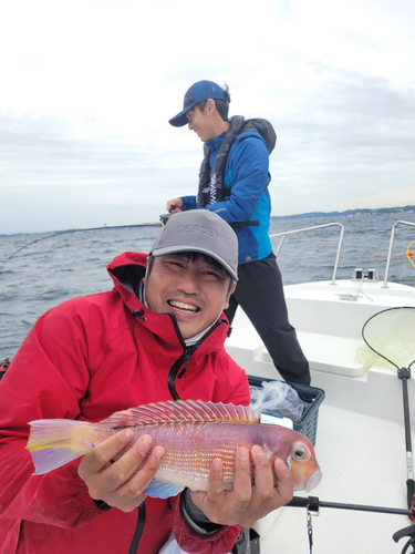 アマダイの釣果