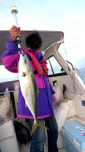 ワラサの釣果