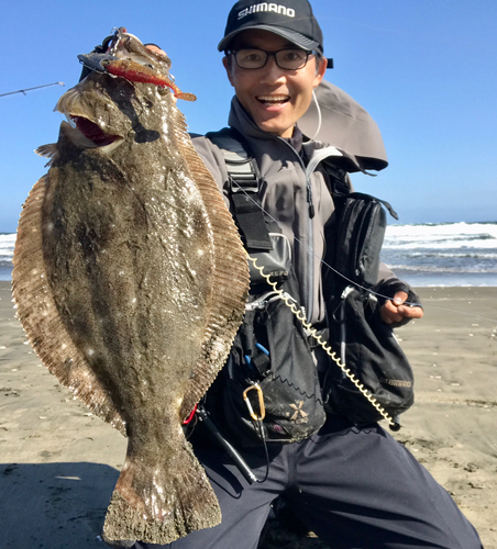 ヒラメの釣果