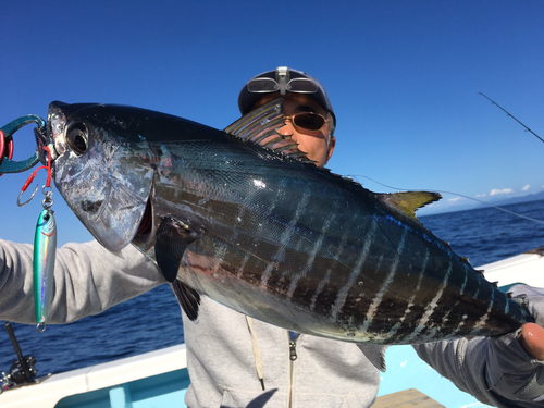 釣果