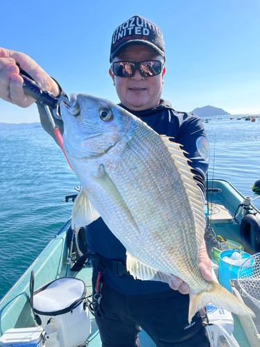 ヘダイの釣果