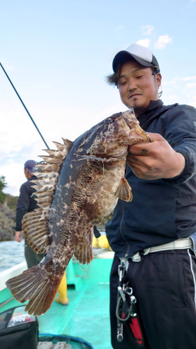 ベッコウゾイの釣果