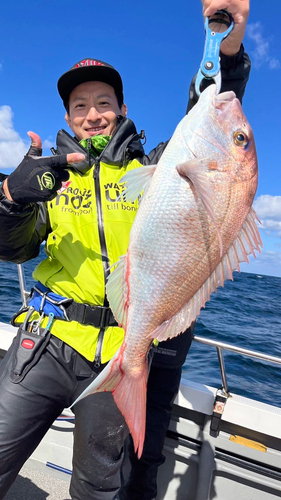 タイの釣果