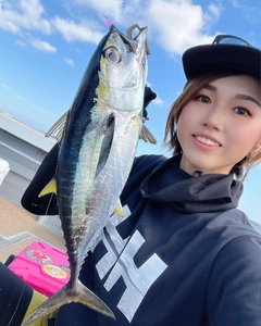 キメジの釣果